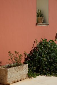 Petra Country House: Natura e Silenzio a Lecce