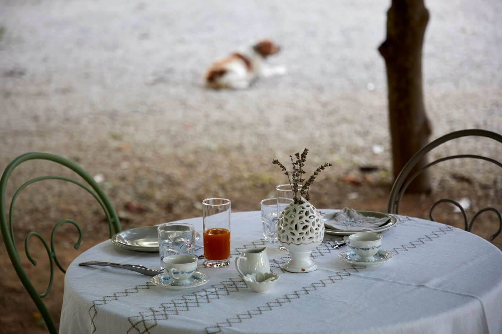 Petra Country House: Pool and Nature for Your Vacation