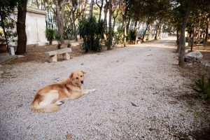 FocusTravel 34 Petra Country House: Soggiorno tra Otranto e Lecce