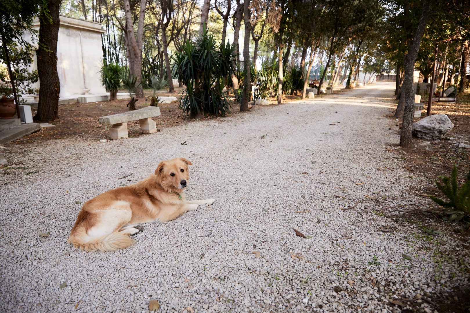 Petra Country House: Soggiorno tra Otranto e Lecce