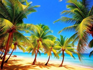 Peisaj exotic cu palmieri și ocean albastru.
